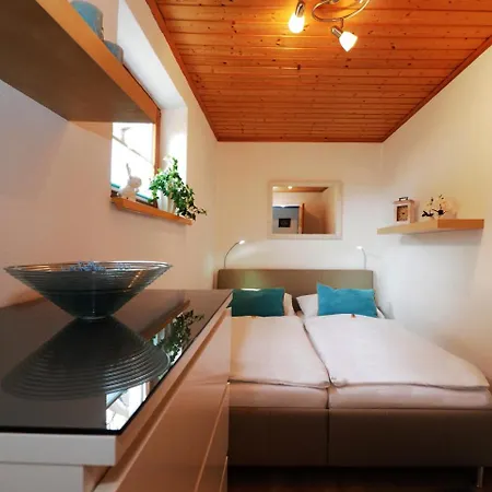 Flasch Apartman Wagrain